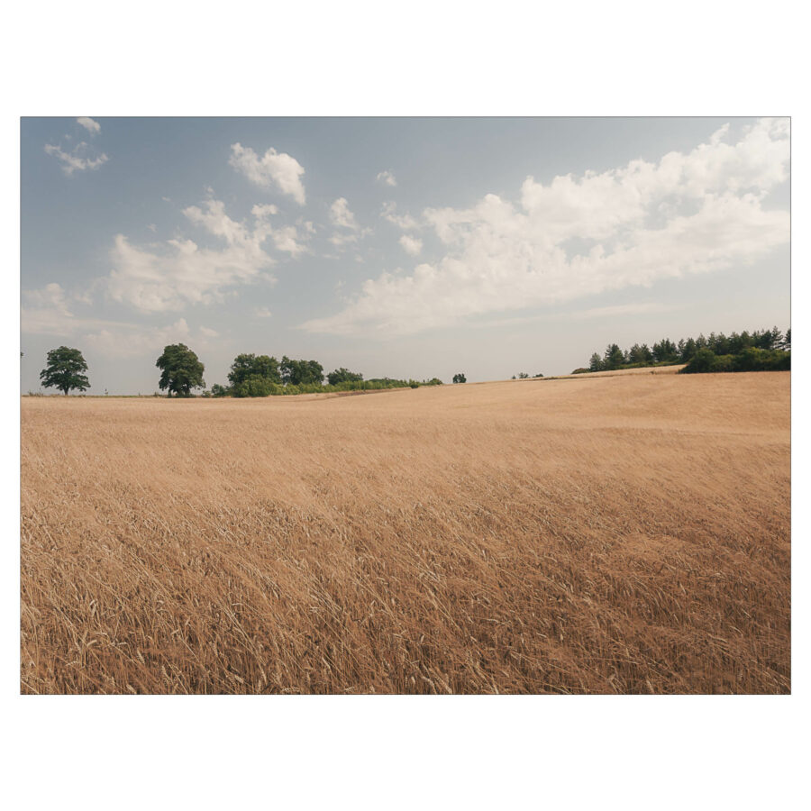 Krajobraz 8 900x900 - ..